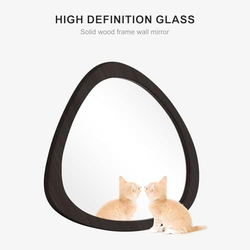 WallBeyond Asymmetrical Mirror, Irregular Wall Mirror, Wall Mirrors Decorative for Bedroom Living Room Entryway Hall, Wood Mirror for mid Century Modern Decor 23" H x 19" W, Black