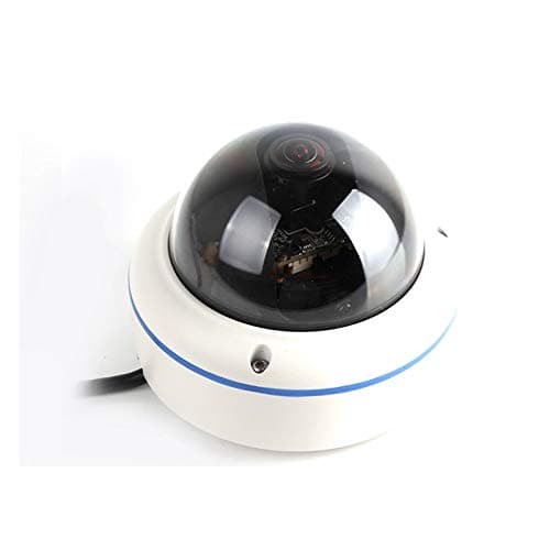 180/360˚ Panorama View Angle 700TVL 1/3" Super HAD II CCD Double Scan Indoor/Outdoor Dome Security Camera, Advanced DSP to Offer High Image Quality
