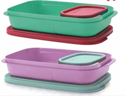 Plastic Mylunch 2 Containers Lunch Box (590 Ml), Multicolor