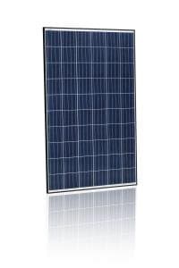 265W Poly BLK/WHT 1000V Solar Panel - Pack of 4