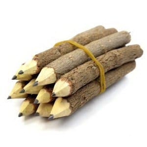 Branch & Twig Graphite Pencils, 10-Pcs. Approximately 12 cm.