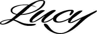 Lucy Name Sticker Decal Vinyl 4 Laptop Wall Window Auto Glass Mirror Lockers RV