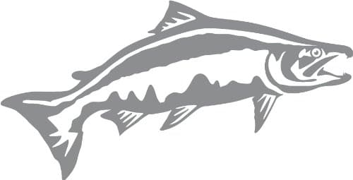 Express Yourself Chinook Salmon Leap Wall Decal (Med Grey - Facing as Shown - Large) - Freshwater Fish Collection