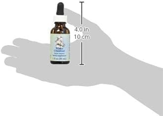 Flower Essence Services Dropper Herbal Supplements, White Chestnut, 1 Ounce