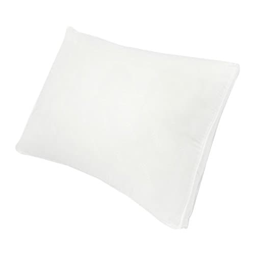 Century Home Vitality Gusseted Polyester Filled Pillow, Standard