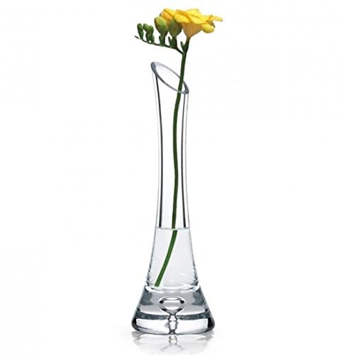 Clear Glass Single Stem Flower Vase Heavy Base 25cm | Transparent