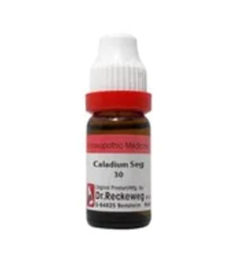 Caladium Seng. 30 CH German Drops 11ml [Pack of 2] || Homeopathy Single Remedy