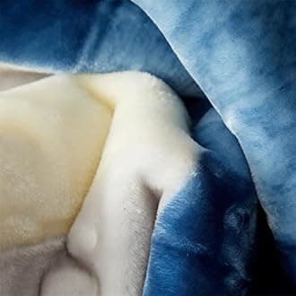 LGYKUMEG Heavy Winter Fleece Plush Blanket King Size,Korean Mink Blanket,Silky Soft And Warm, 2 Ply Reversible Raschel Bed Blanket,Blue Grid,180x220cm