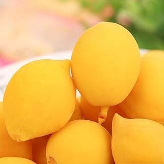 Sour and Sweet Crispy Peach (50g/bag) Honey Peach,Preserved Fruit,Chinese snack gift,Peaches,Fruit Snack,Dried Fruit,White peach,Sweets,Vegetarian snack,Healthy Snacks Food (3bags)