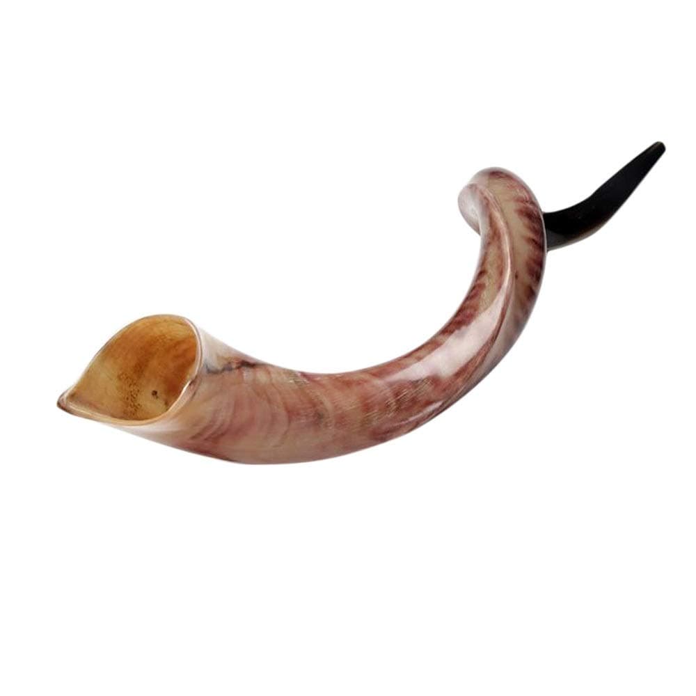 Baba Shofar Kit – Yemenite Half Polished Half Natural 18"- 22" Kudu Horn Kosher Shofar From Israel Traditional Ancient Musical Instrument – Authentic Curved High Quality