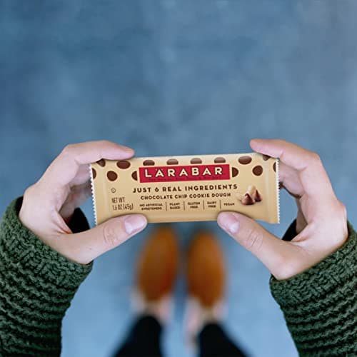 LARABAR Fruit & Nut Food Bar Chocolate Chip Cookie Dough 1.6 Ounce Bars (Pack of 16)