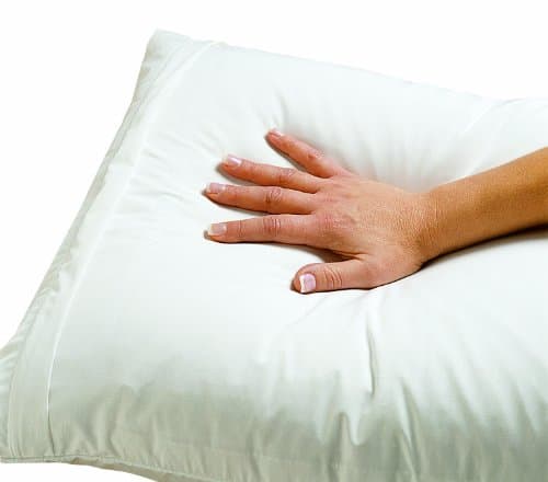 Dust Mite- and Allergen-Proof Pillow Encasing; Premium Microfiber" Standard 20" x 27""