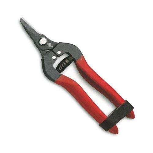 Scissors limpiauvas Curve 17 cm. 03291