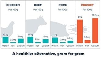 Crunchy Roasted Crickets Salt and Vinegar Insect Snack 15g 24 Pack (360g)