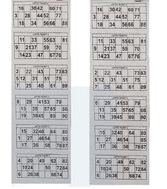 Braintastic Kids 600 Tambola Tickets