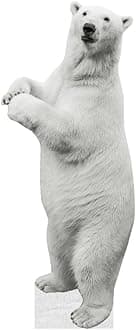 Polar Bear - Life Size Cardboard Cutout Standup People with Support Standee | Animals -