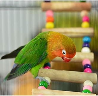 Hanging Birdcage Three-tiered Wrought Iron Big Birdcage Top Luxury Bird Cage Villa Suitable for All Types of Bird Breeding High Cage 93cm Birdhouses (Color : Black-regular version)