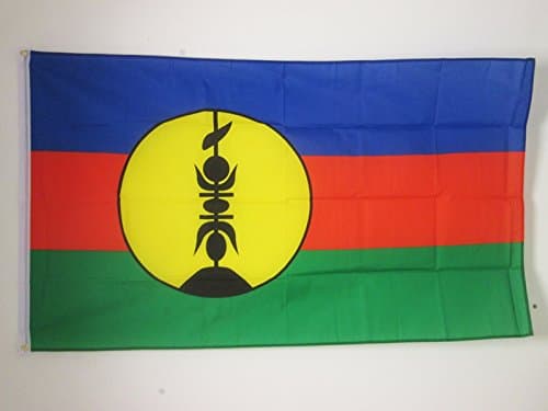 AZ FLAG - New Caledonia Flag - 2x3 Ft - 100D Polyester New Caledonian Banner with Two Metal Grommets - Fade Resistant - Vivid Colors - 2' x 3' Feet - 90x60 Cm