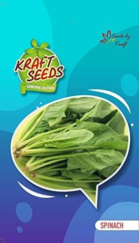 Kraft Seeds Amaranthus Leaf Red/Cholai Red Saag (500 seeds) By Kraft Seeds & Spinach Seeds