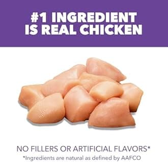 IAMS PROACTIVE HEALTH Kitten Dry Cat Food 7 Pounds