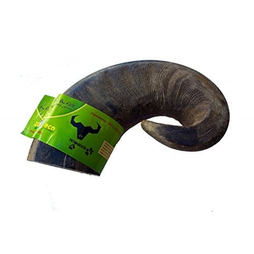 Buffalo horn dog chew, Large size