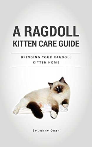 A Ragdoll Kitten Care Guide: Bringing Your Ragdoll Kitten Home Kindle Edition