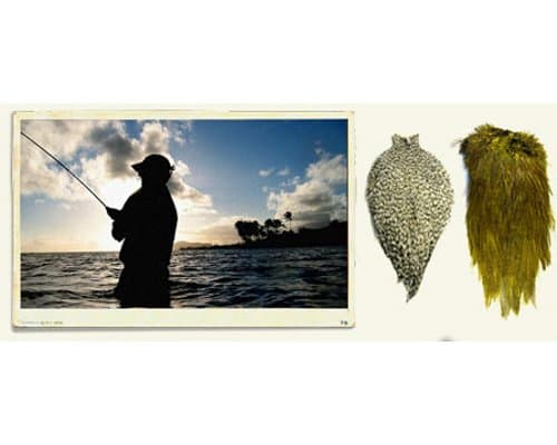 Whiting Farms American Hackle Hen Cape