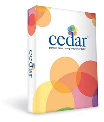 A4 Paper,100 Gsm(Pack of 1)