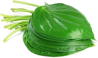 Fresh Betel Leaves | Beetle Leaves Approx.10Pieces | Pan Leaves | Leaf Betel | Fresh Leaf | Used for Pooja & Edible | Indian Origin | Approx 50G