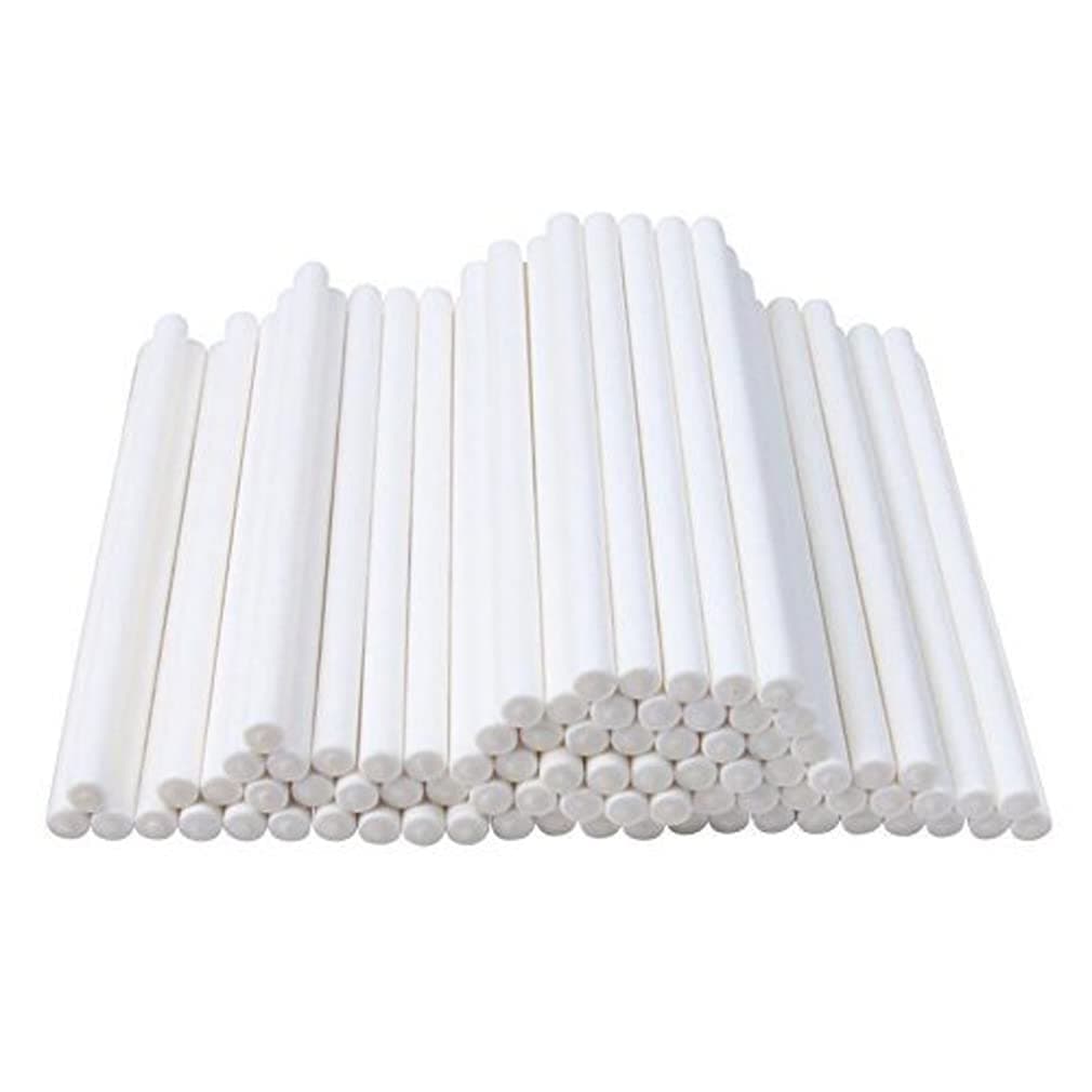 100 Pieces Cake Pop Sticks Lollipop Paper Sticks White