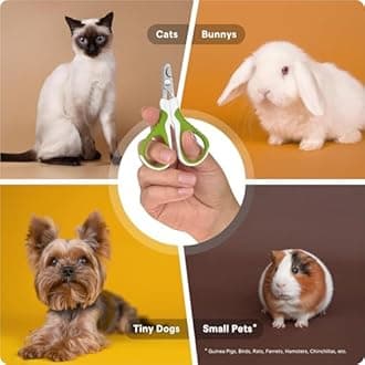 Pet Nail Clippers for Small Animals: Dog Cat Rabbit Bird Puppy Kitten Ferret Gerbils - Best Cat Nail Clippers & Trimmer for Paw Grooming - Cat Claw Clippers Scissors & Nail Cutter - Free Ebook