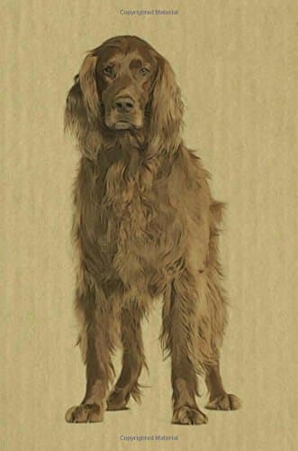 Irish Setter: Irish setter: Journal/Notebook/Diary: Volume 8 (Renaissance Dogs)