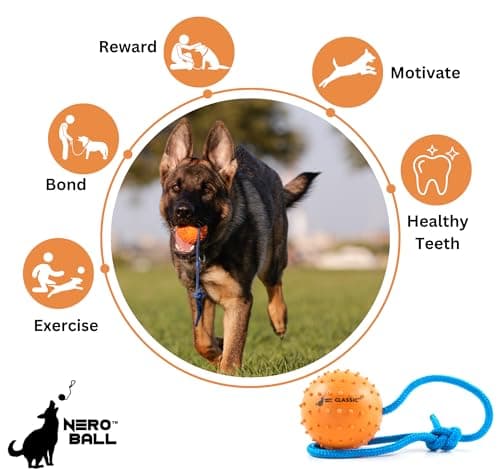 The Nero Ball Classic TM - K-9 Ball On a Rope Reward and Exercise Toy - Police K-9 - Schutzhund - Natural Rubber (2.75")