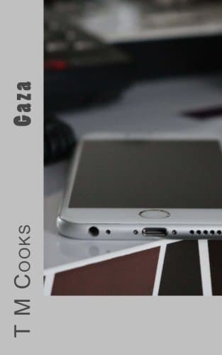 Gaza Paperback – 12 Nov. 2017