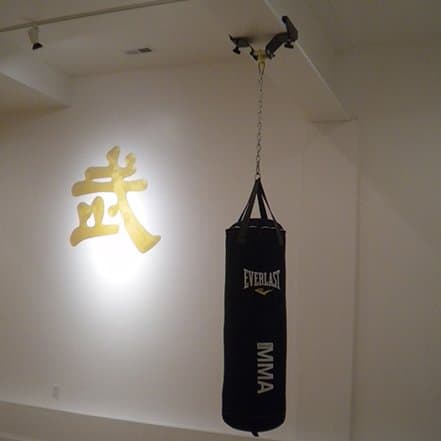 Promountings.com I Beam Roller Mounting for Heavy Bag: 4.5" to 7" Wide I-Beam