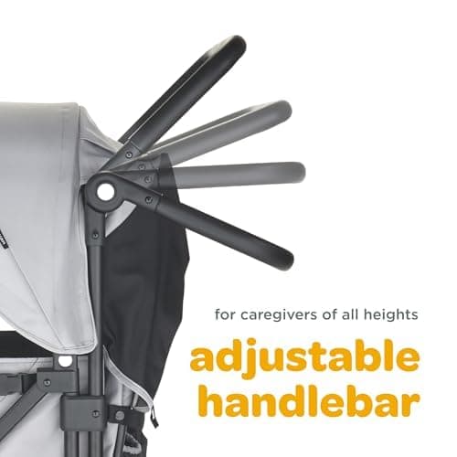 Larktale Caravan V3 Stroller, 2-Seater Kids Wagon, 207 lb Capacity, Avalon Gray