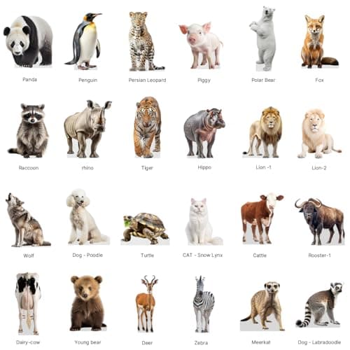 Bear - Life Size Cardboard Cutout Standup People with Support Standee | Animals -2