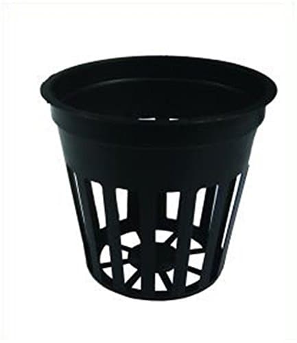 100x 5,5 cm Net Pot for hydroponic systems +neoprene ring