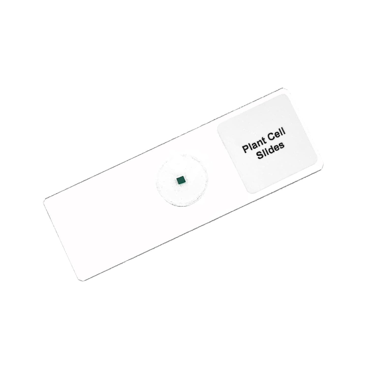King Mariot Medical Equipments Plant Cell Microscope Slide | Digital Microscope Accessories | School Biology Supplies (1)