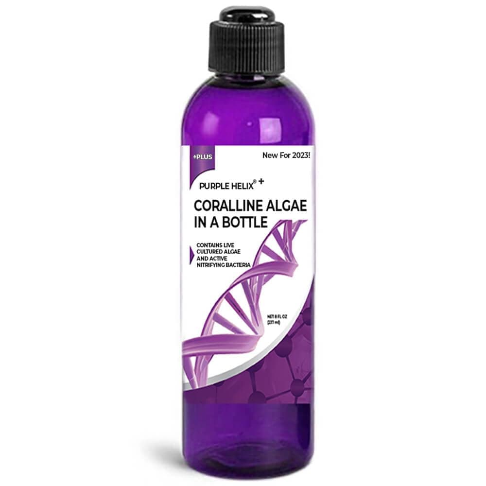 ARC Reef Coralline Algae in a Bottle - Purple Helix, Live Spores and Nitrifying Bacteria for Saltwater Reef Tanks, Seeds Dry Rock with Vibrant Purple Coralline, Treats Up to 50 Gallons, Brush Included