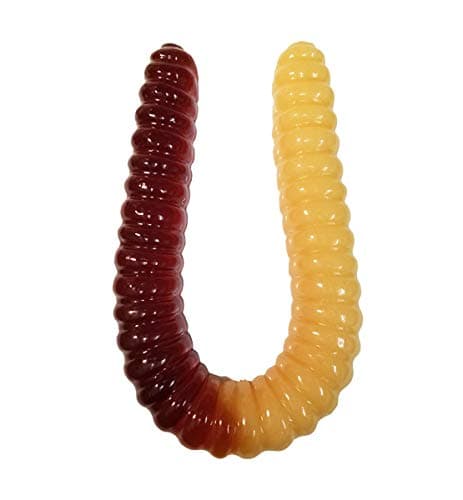 The Gummy Bear Guy (TM) | World's Largest Gummy Worm (TM) - Vanilla/Cola (Vanilla/Cola)
