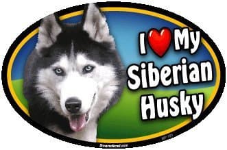 I Love My Siberian Husky Oval Magnet