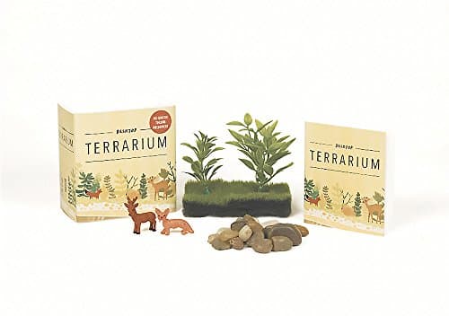 Desktop Terrarium: No Green Thumb Required! (RP Minis)