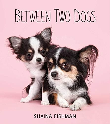 Between Two Dogs Hardcover – Illustrated, November 17, 2015
