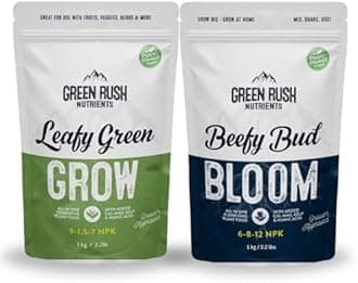 Organic Veg to Harvest Double Pack - Leafy Green Grow & ...