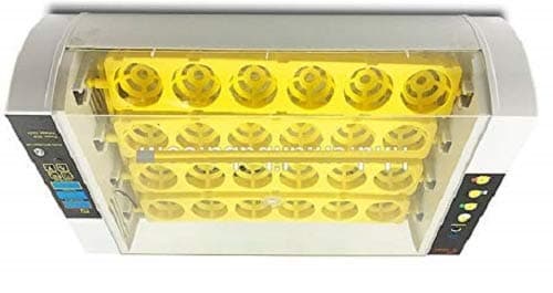 TM&W Ravi 2018 24 Egg Incubator Fully Automatic Digital LED Turning Eggs Hatching Machine (Multicolour)