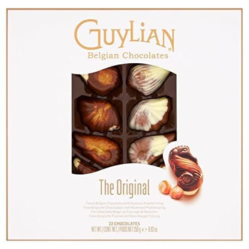 Azriel Guylian Belgian Chocolates Seashells Gift Box -22 Shells Chocolate Gift, 250 g (Pack of 1)