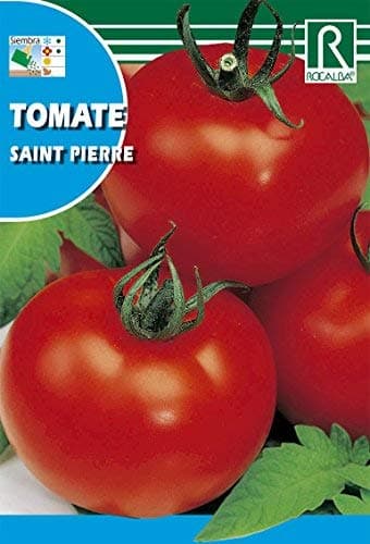 ROCALBA Seed Tomato Saint Pierre 10UD