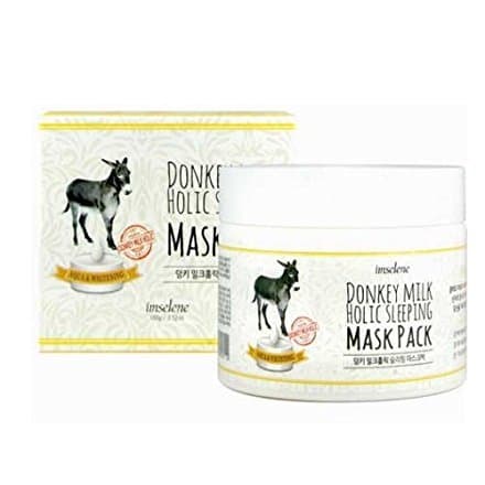 Donkey Milk Holic Sleeping Mask Pack 100ml Nutrition Moisture