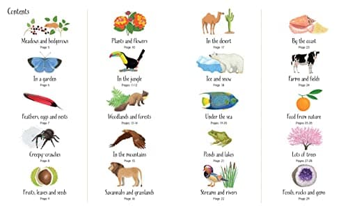 1000 Things in Nature (1000 Pictures)